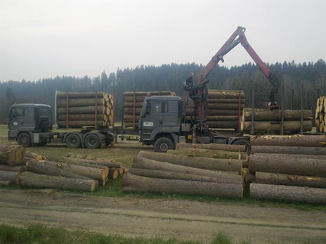 Doprava dřeva