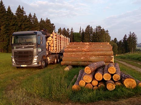 Doprava dřeva